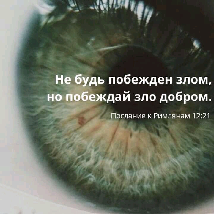 г жилам _ дь побежден злом еждай зло добром