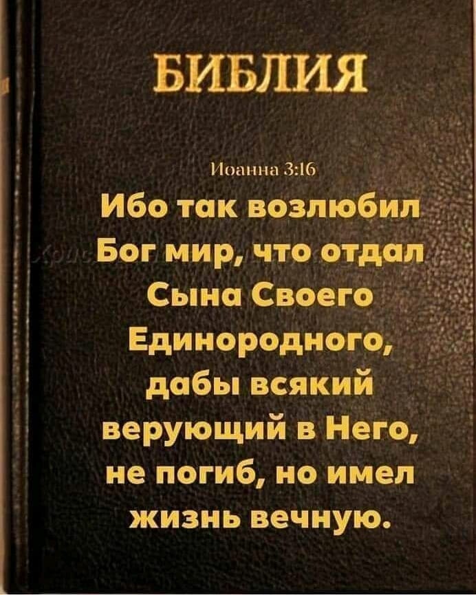 БИБЛИЯ Иоанна 316 Ибо так возлюбил Бог мир Что отдпрщш Сына Своего Единородного дабы всякий верующий Него не погиб но идея жизнь вечную