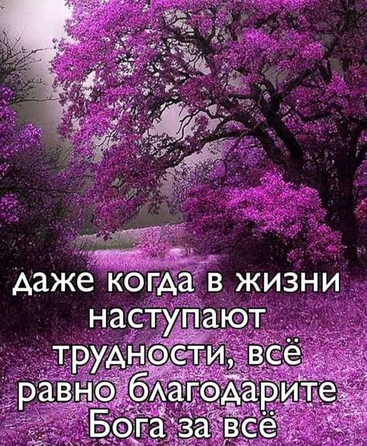 в жизнид