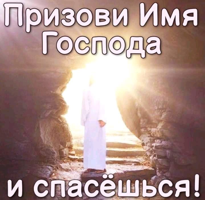 и спасешься