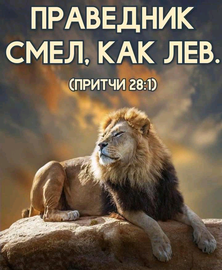 ПРАВЕДНИК СМЕЛ КАК ЛЕВ ПРИТЧИ 281