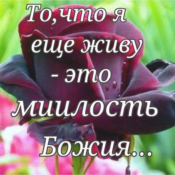 ТоТчдтЁ Мэ я 5 ёщё ссиву