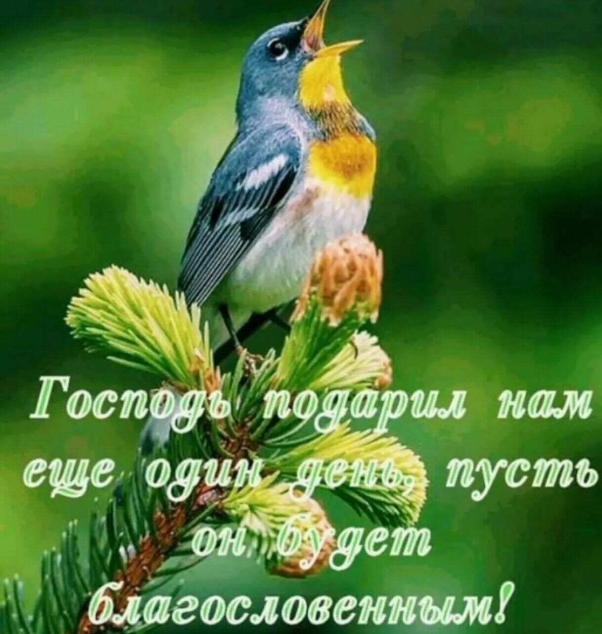У МЗ і Х 1 Дагдсловенші