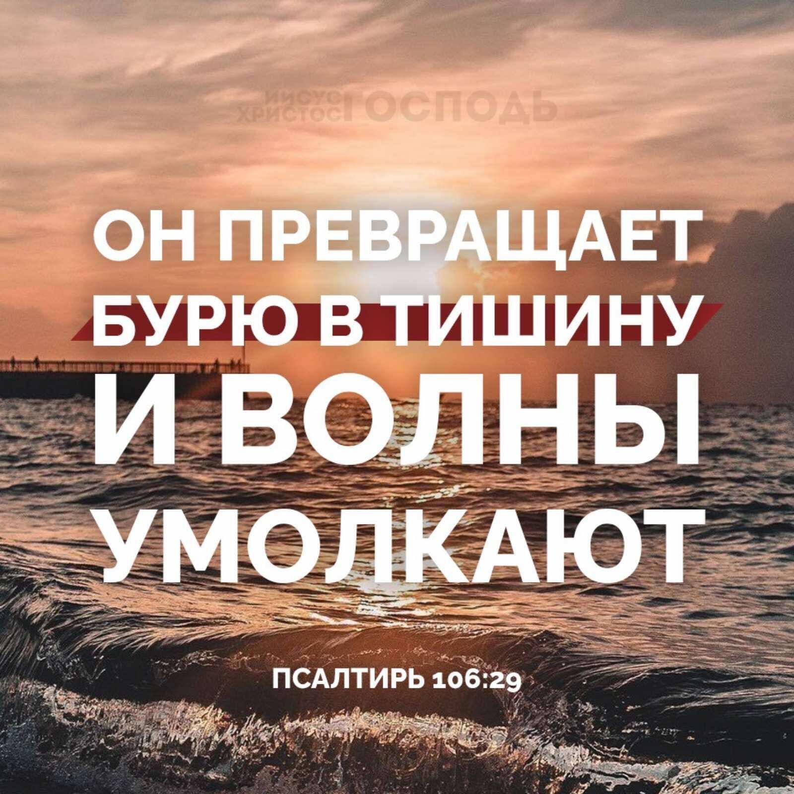 псдлТирь 5629