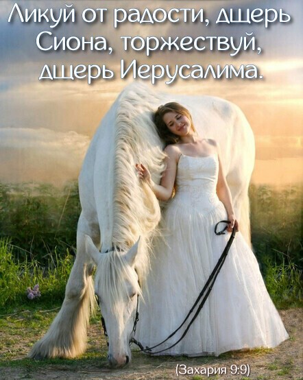 шум ш ргщпсщ Сиама 10933335131 331353313 Лэцглтвихььы