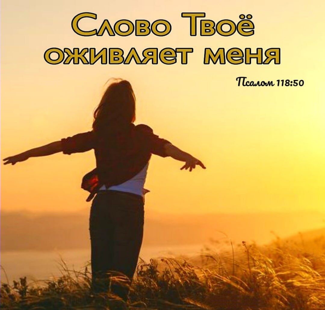 вссэ Твоё вмт