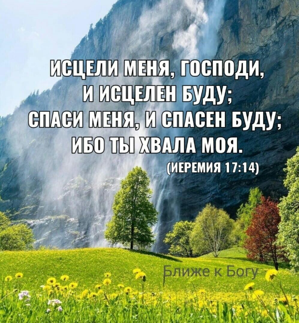 Р  ой л  рпике кбогу