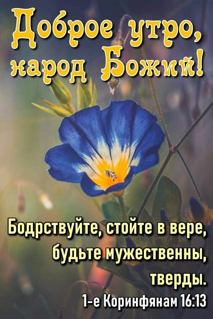 доброе утро народ толщи в Бодрствуйте стойте в Вере буДьте мужественны тверды 1 е Коринфянам 16 13