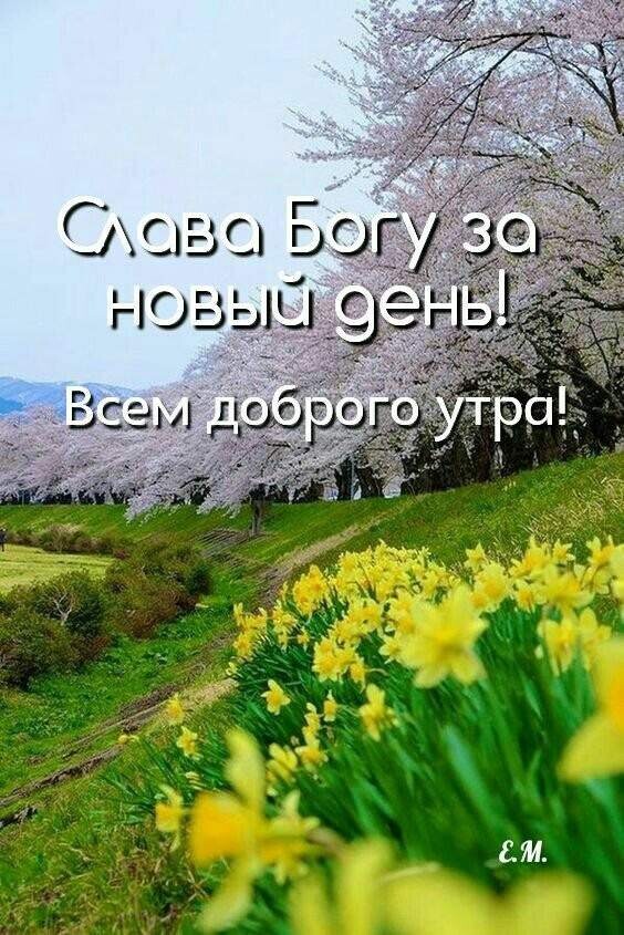 ам
