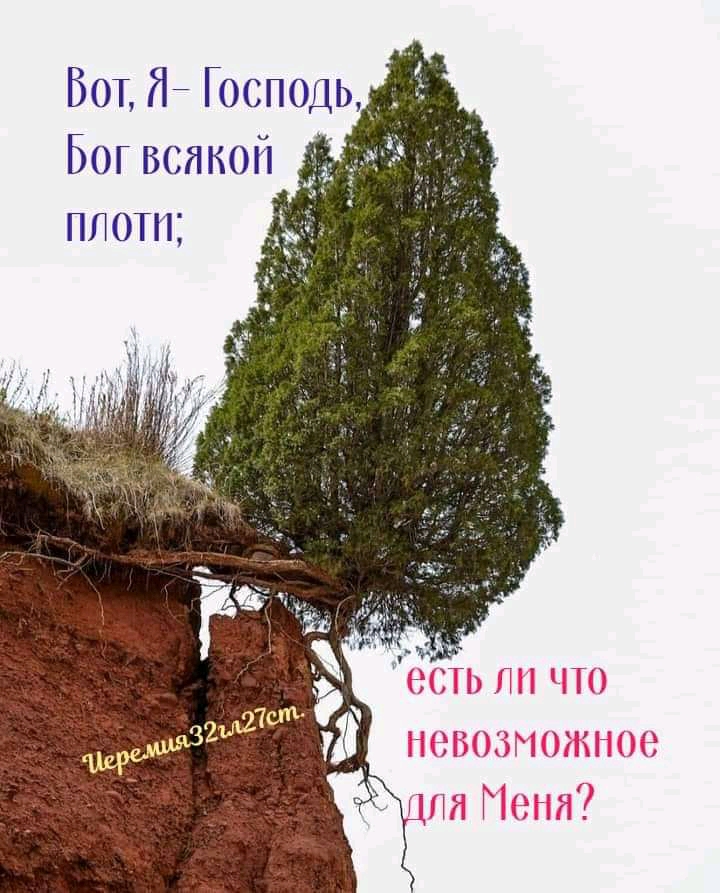 Бот д Господь _