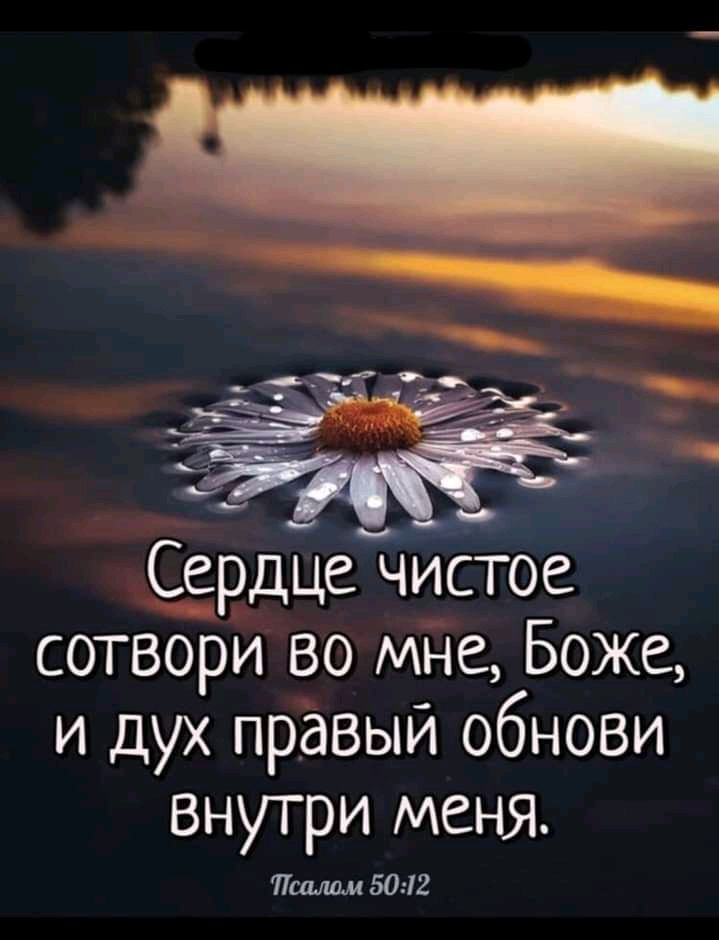 Сердцетіистое сотвори во мне Боже и дух правый обнови внутри меня Поалим 5012