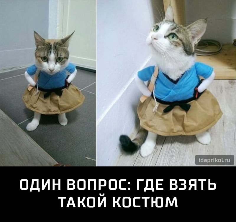 Шаргікшхи ОДИН ВОПЕОС ГДЕ ВЗЯТЬ ТАКОИ КОСТЮМ