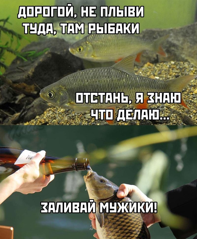 дпппгпй нв плыви тнднтпьп_внки пттднь я зндшіідагэ чтп дЕПдН ЗдПИВдИгМНЖИКИ