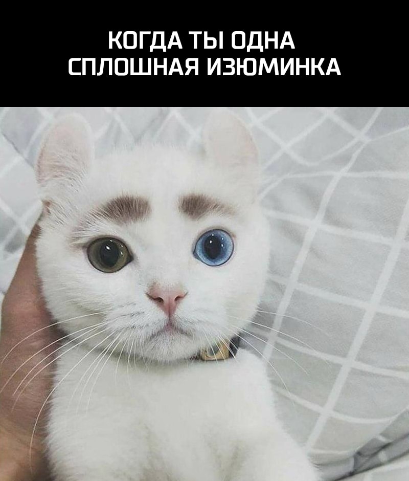 КОГДА ТЫ ОДНА СПЛОШНАЯ ИЗЮМИНКА