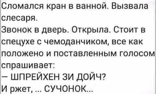 Сломался кран в ванной Вызвала слесаря Звонок в дверь Открыла Стоит в спецухе с чемоданчикем все как положено и поставленным голосом спрашивает ШПРЕЙХЕН зи ДОЙЧ И ржет СУЧОНОК