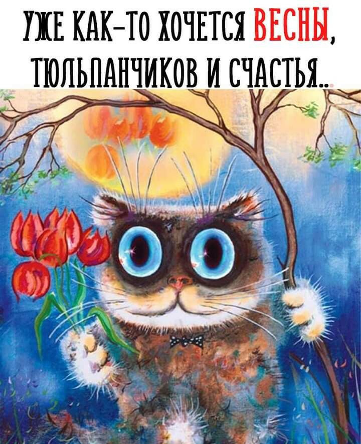 Ш КАКТО хочпся ВЕСНЫ тюльпднииоиъсчдстьж 1 _ д