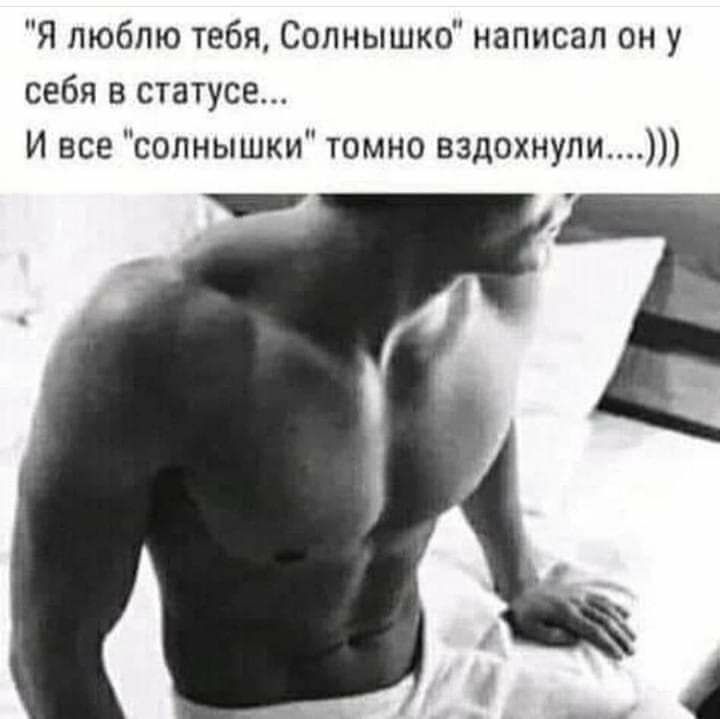 Я люблю тебя Солнышко написал он у себя в статусе И все солнышки томно вздохнули