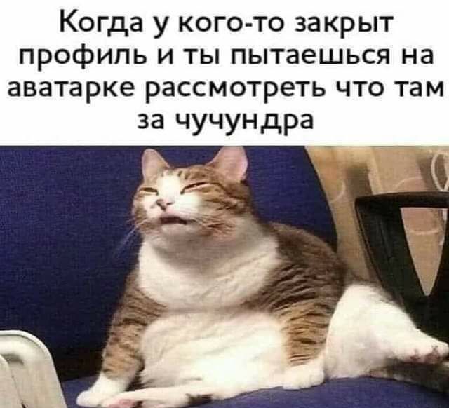 Когда у кого то закрыт профиль и ты пытаешься на аватарке рассмотреть что там за чучун дра