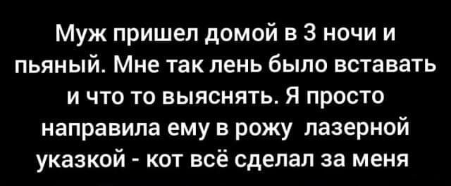 Муж пришел домой в 3 ночи и пьяный Мне так лень было вставать и что то выяснять Я просто направила ему в рожу лазерной указкой кот всё сделал за меня