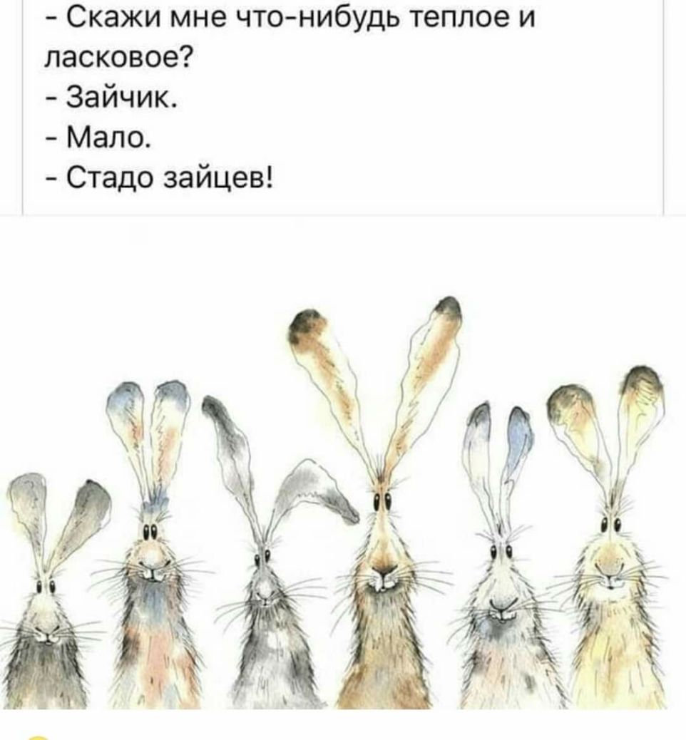 Скажи мне чтонибудь теплое и ласковое Зайчик Мало Стадо зайцев