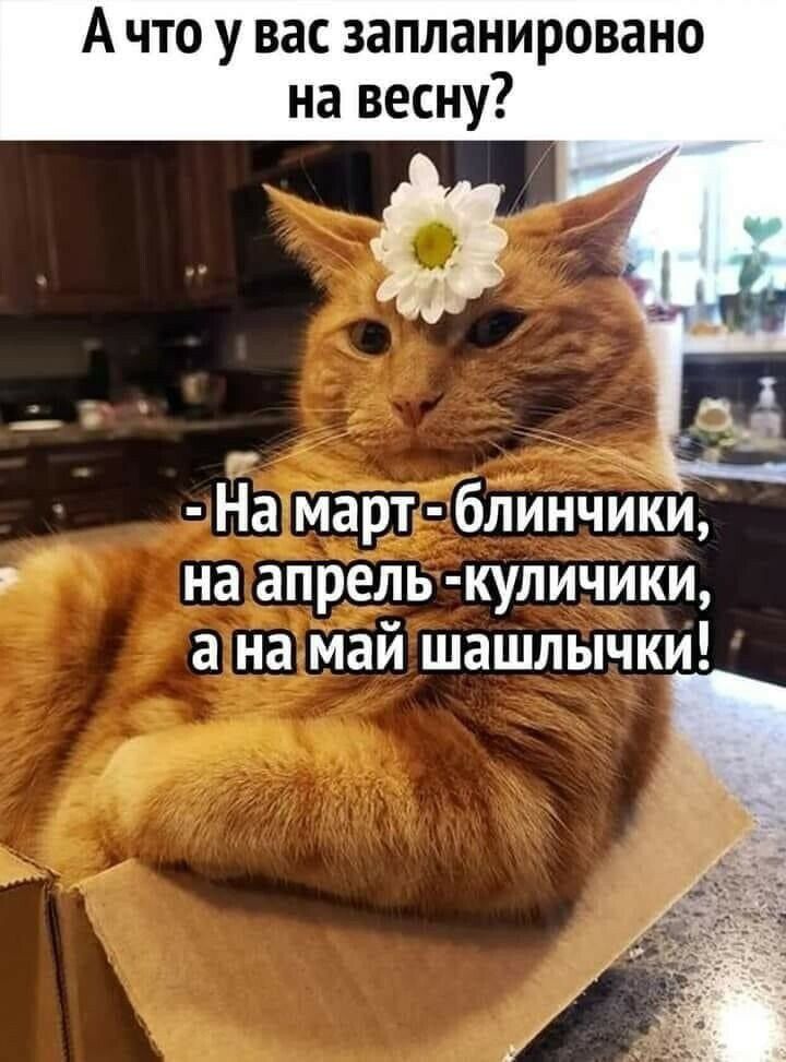 А что у вас запланировано на весну Г На март блинчики на апрель кулиЧики а на май шашлычки