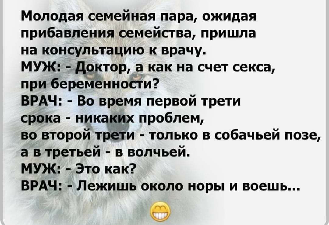Молодая семейная пара ожидая прибавления семейства пришла на консультацию к врачу МУЖ ЕЁ а как на счет секса при бер нности ВРАЧ Во время первой трети срока ник проблем во второй тЁй только в собачьей позе а в третьей в волчьей МУЖ Это как ВРАЧ Лежишь около норы и воешь