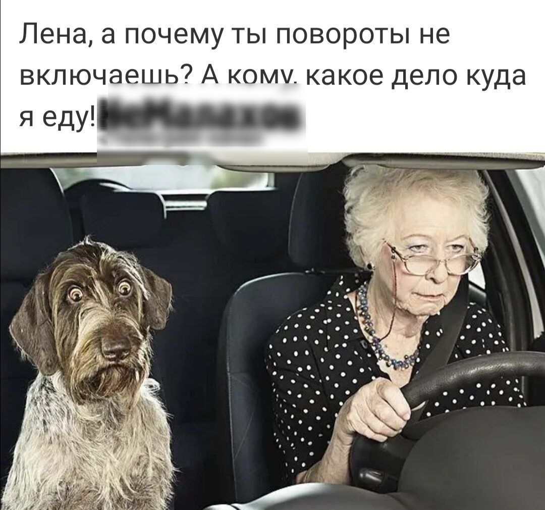 Лена а почему ты повороты не включаешь А кому какое дело куда