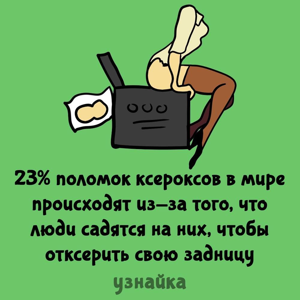 23 поломок ксероксов мире происходят изза того что моди садятся на них чтобы отксярцть свою заднице узиайка