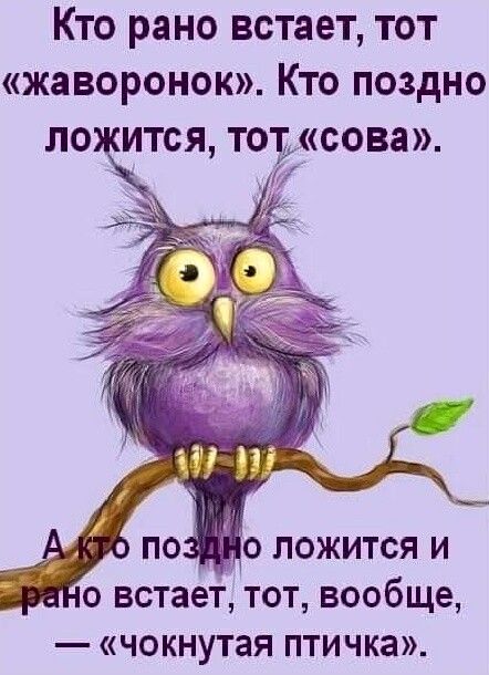 КТО рано ВСТЗЕТ ТОТ жаворонок КТО ПОЗдНО ЛО ИТСЯ ТОТЖСОВЗ _ И о встает тот вообще чокнутая птичка