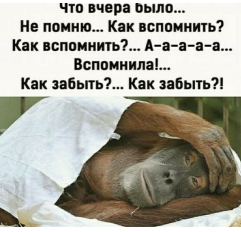 что вчера было Не помню Как вспомнить Как вспомнить А а а а а Вспомнилаі Как забьпь Как забыть
