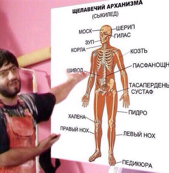 КОЗТЬ ПАСФАНОЩН ТАСАПЕРДЕНЬ СУСТАФ