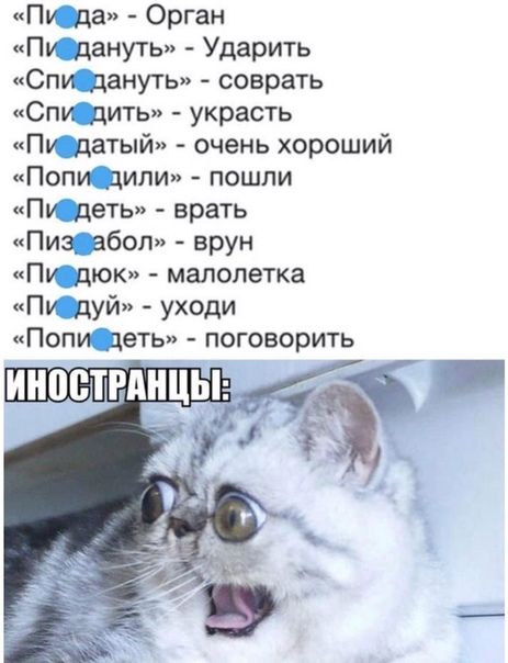 Пу да Орган Пу дануть Ударить Спи дануть соврать Спи дить украсть Пу датый очень хороший Попи дили пошли Пу деть врать Пиз абоп врун Пу дюк малолетка Пу дуй уходи Попи деть поговорить