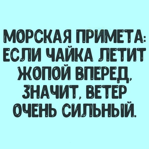 морскдя примем ЕСЛИ ЧАИКА летит жопои вперед 3ншмт ветви очень сильным