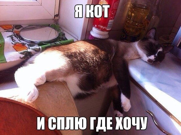 и сплю ГДЕ кпчих