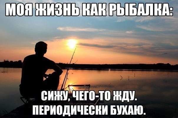 о сини чёт То жди пігиодичюни шлю