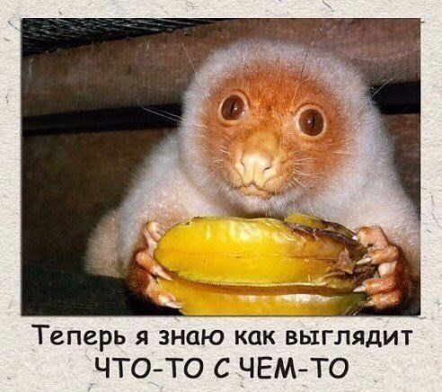 3 Теперь я знаіо кдрвйыглядит ЧТОТО С ЧЕМТО