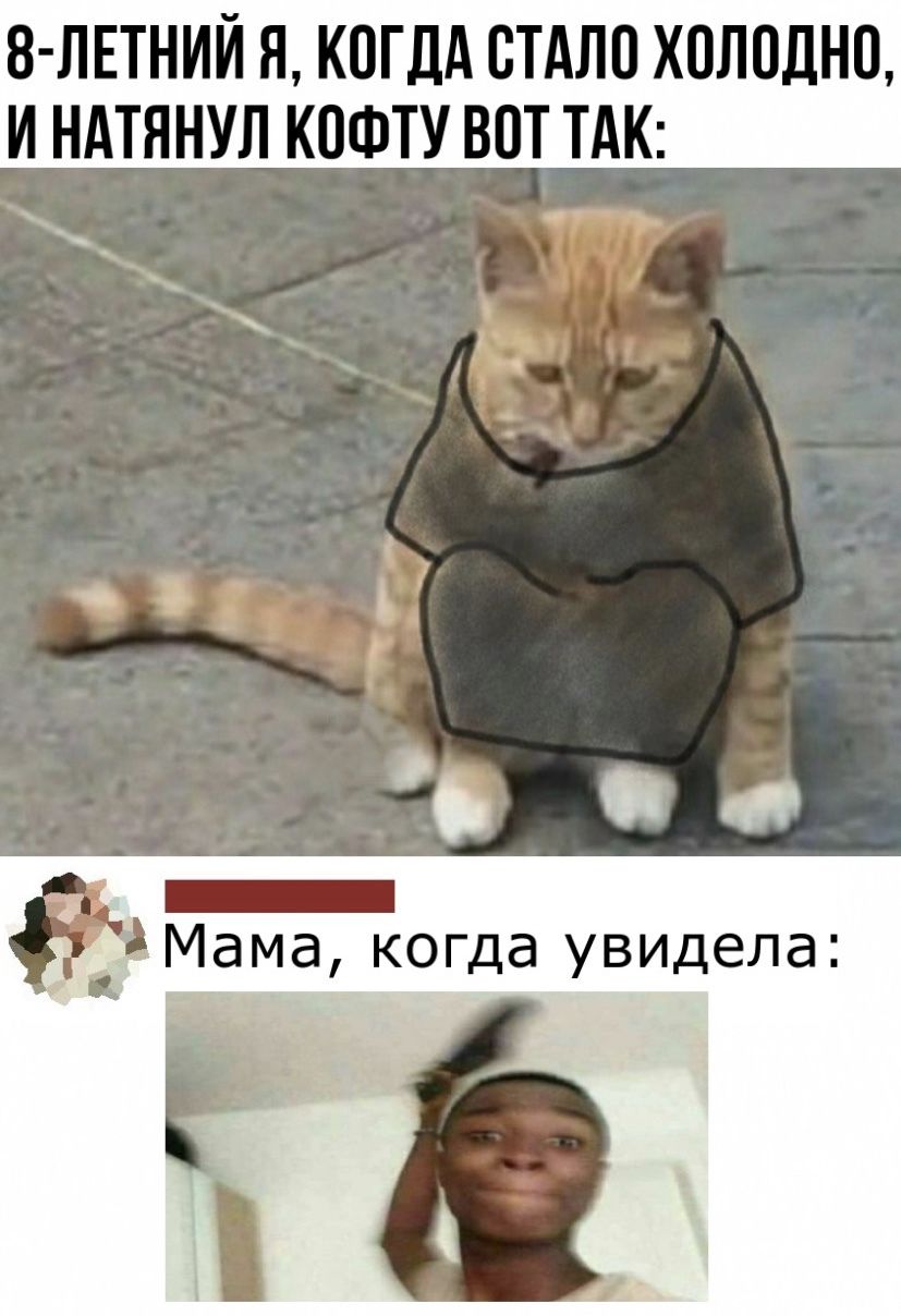 8 ЛЕТНИЙ Я КОГДА СТАЛО ХОЛОДНО И НАТЯНУЛ КОФТУ ВОТ ТАК _