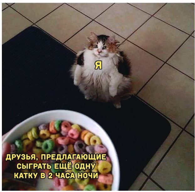 5 дРУЗЬЯ ПРЕДЛАПАГОЩИЕ сыгРАтщвщЁ одну кдтку в 2ЧАсА1 чи