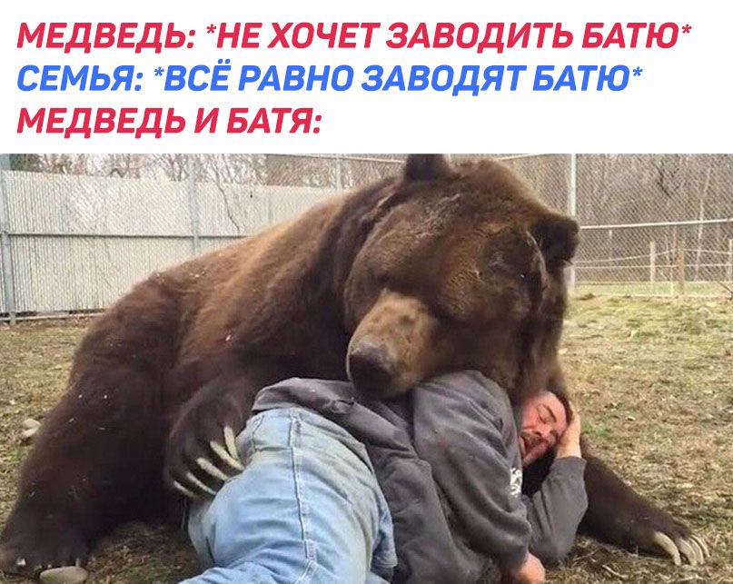 МЕДВЕДЬ НЕ ХОЧЕТ ЗАВОДИТЬ БАТЮ МЕДВЕДЬ И БАТЯ