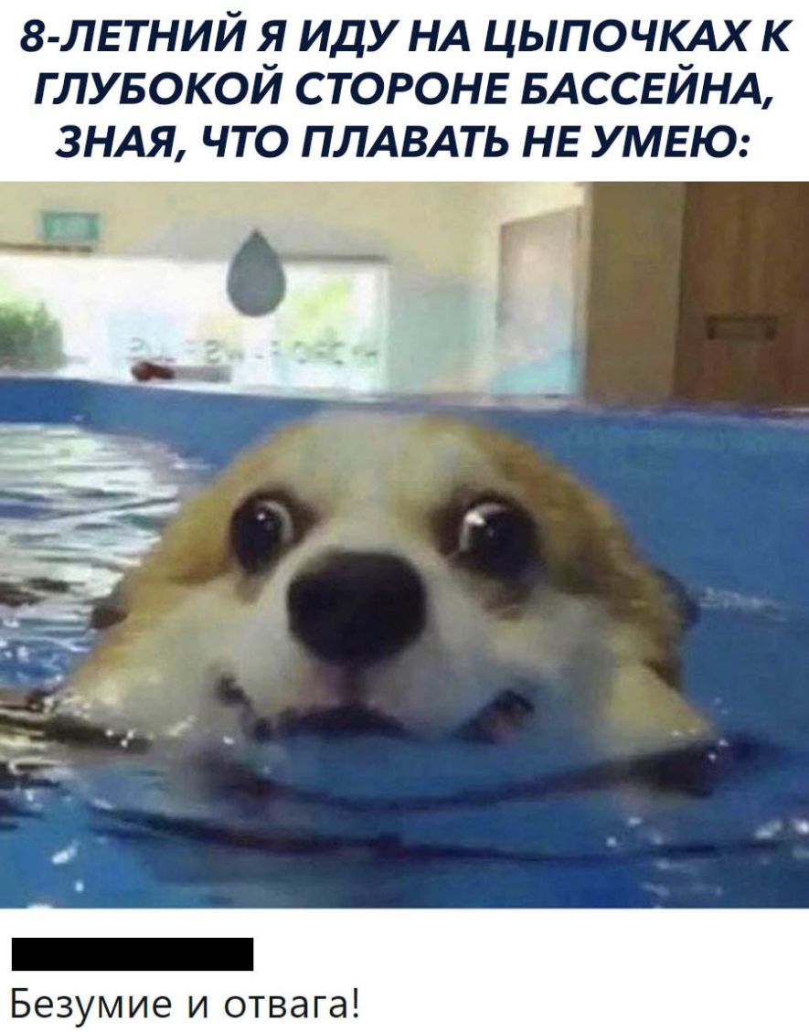 в лвтний я иду НА цыпочкдх к глувокой стороне БАССЕЙНА зндя что ПЛАВАТЬ нв УМЕЮ _ Безумие и отвага