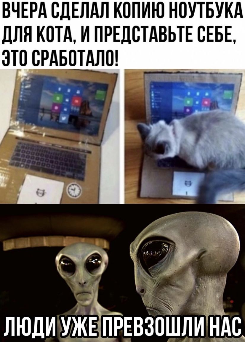 ВЧЕРА СДЕЛАЛ КППИЮ НОУТБУКА дЛЯ КОТА И ПРЕДВТАВЬТЕ СЕБЕ ЭТО СРАБПТАЛО