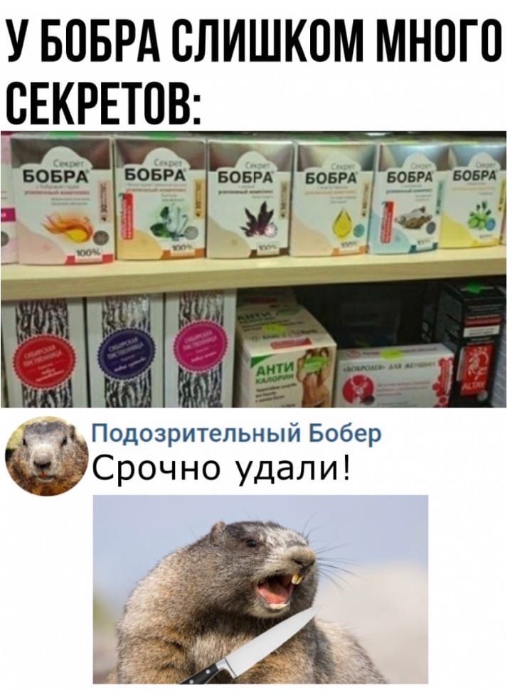 У БОБРА СЛИШКОМ МН0Г0 Подозрительный Бобер Срочно удали