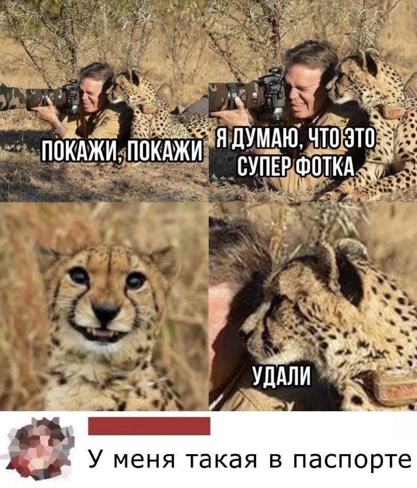 _ ЁЁ дядумдю чтпэто ПОКАЖИ покджи супвршоткдё У меня такая в паспорте