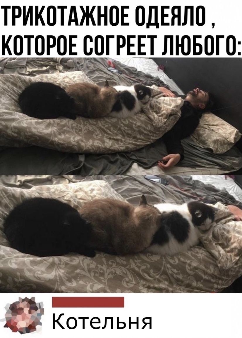 ТРИКОТАЖНПЕ ПДЕЯЛО КОТОРОЕВОГРЕЕТ ЛЮБОГО