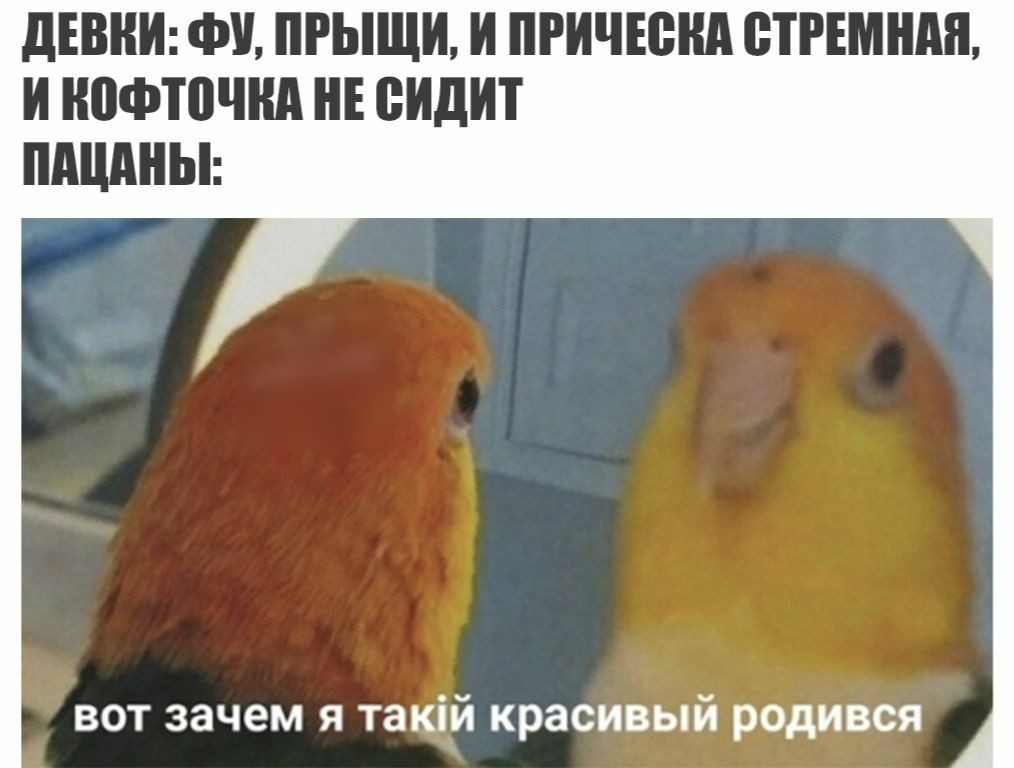 дЕВНИ ФУ ПРЫЩИ И ПРИЧЕШШ ЩРЕМШШ И кофточки Е сидит вот зачем я такій красивый родився