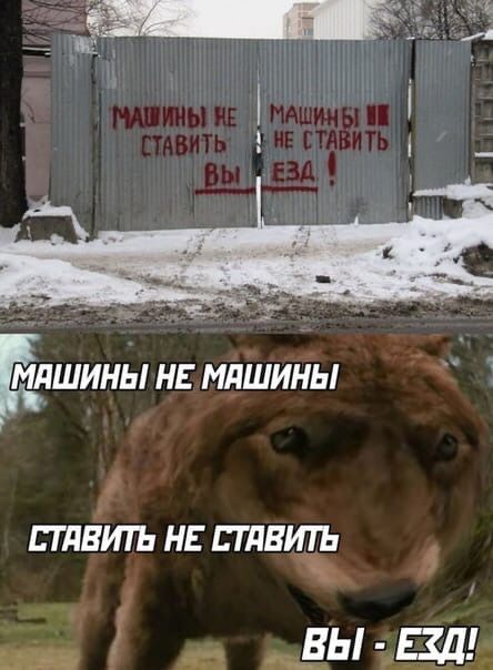 тп тишь йдшины н мдШины ППВИТЬ НЕ ГдВИТЬ дні зд