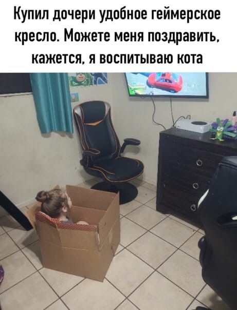Купил дочери удобное геймерские кресло Можете меня поздравить кажется я воспитываю кита