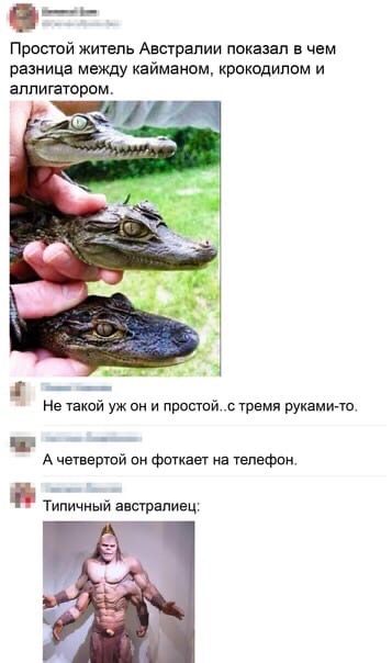 Прощай житель Авпрэлии показал в чем разница между каймакам крокодилом и аппигагором Не Уакой уж он и простой стремя руками тп А цитатой он Фанты на УЕПЕФЧН Типичиый анстапинч