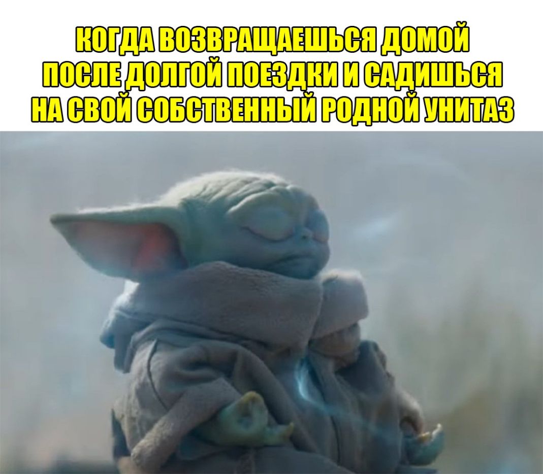 долюй поездки Ш еддишьеп