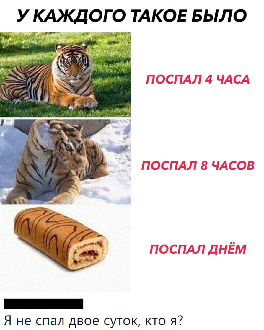У КАКДОГО ТАКОЕ БЫЛО Я не спал двое суток кто я